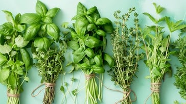 GREENS, HERBS AND FOUGERE